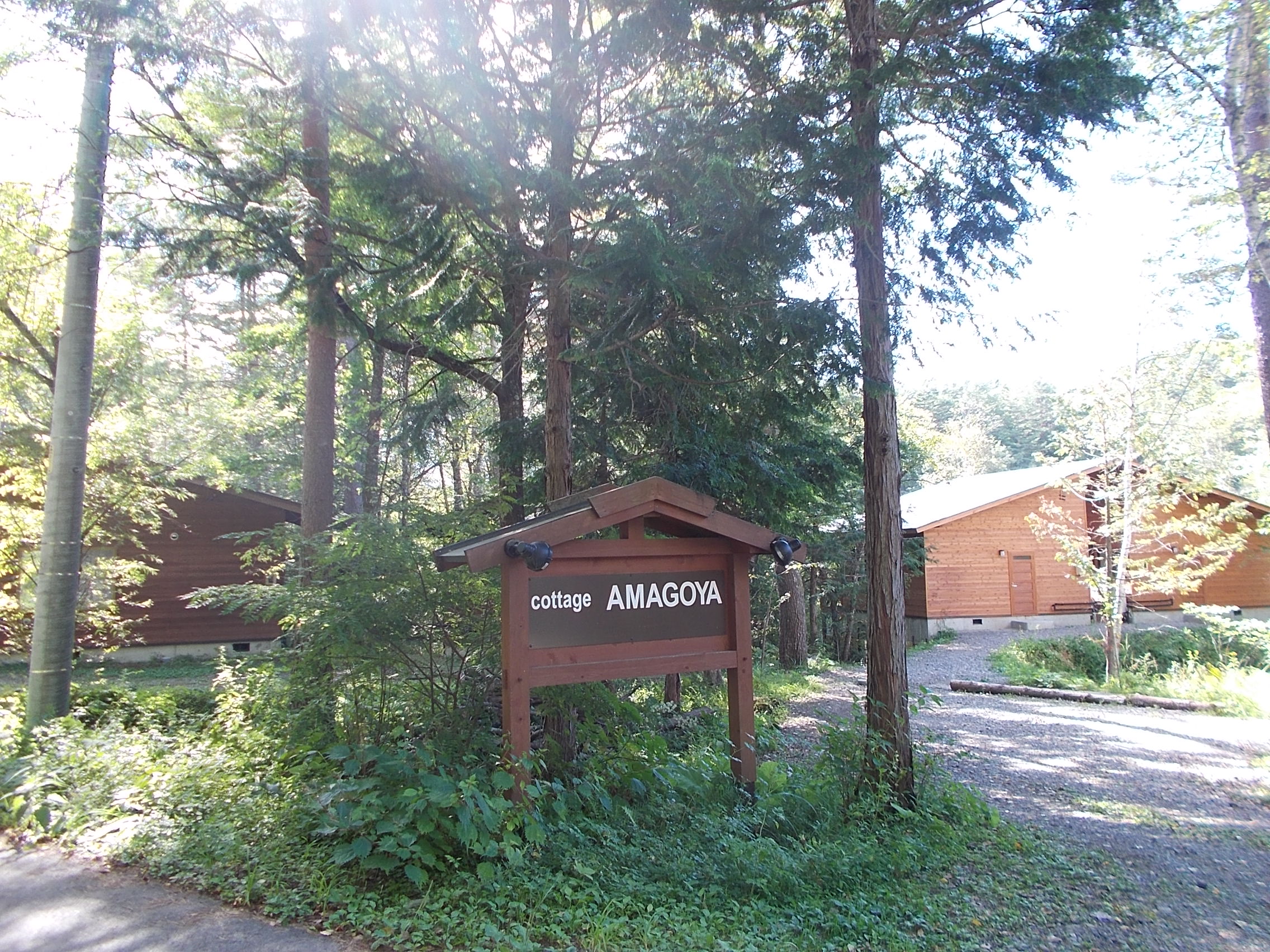 森の中に立つcottage AMAGOYAの看板